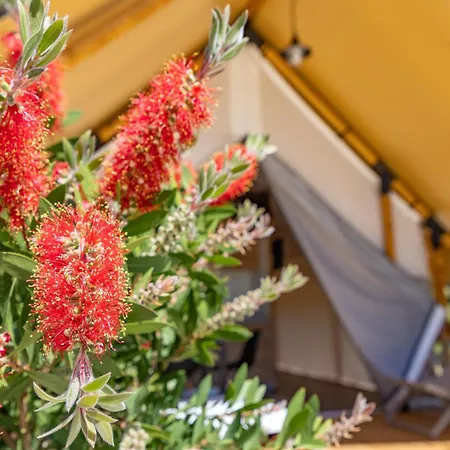 Prázdninový areál Camp Dole - Mobile And Glamping Tent
